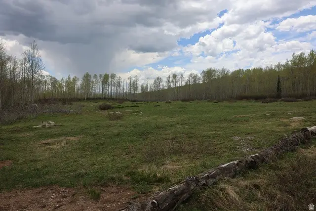 5292 N Larkspur Rd W #42, Midway, UT 84049 - Image #2