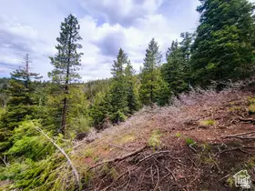 36 Sky Haven Mountain Retreat #36, Duck Creek Village, UT 84762