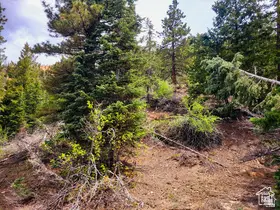 36 Sky Haven Mountain Retreat #36, Duck Creek Village, UT 84762 - Image #3