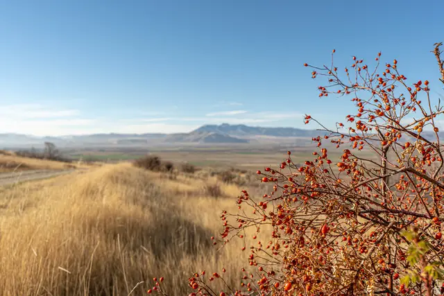 Address Withheld By Seller, Richmond, UT 84333 - Image #1