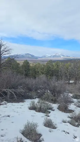 60 S Wray Mesa Rd #2, La Sal, UT 84530 - Image #2