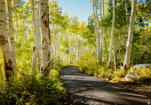 12286 E Windflower Ln #48, Salt Lake City, UT 84121 - Image #1