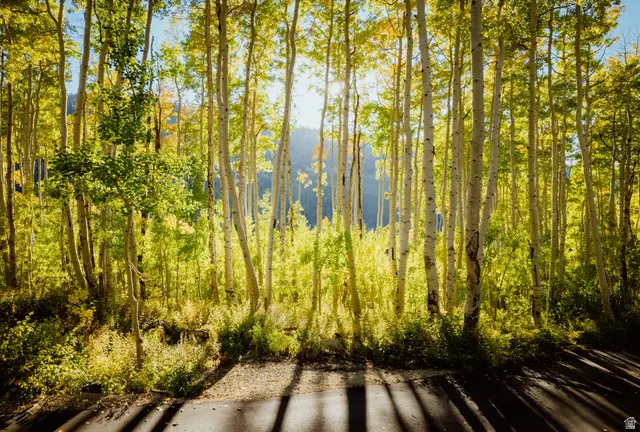 12286 E Windflower Ln #48, Salt Lake City, UT 84121 - Image #2