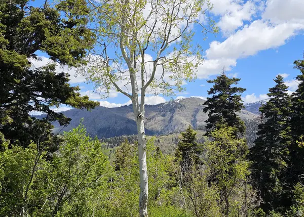 27 Pine Ridge Rd #27, Mt Pleasant, UT 84647