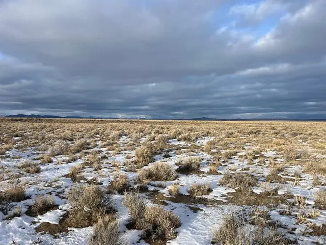 800 63600, Park Valley, UT 84329 - #2