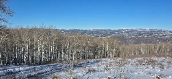 #D45, Spanish Fork, UT 84660