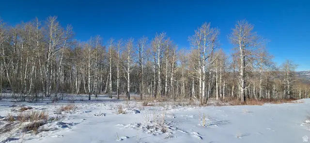 #D45, Spanish Fork, UT 84660 - Image #3