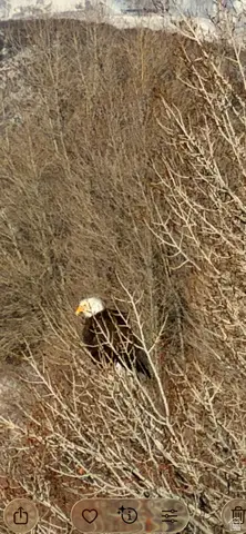 303 S Clyde Lake Dr #303, Heber City, UT 84032 - Image #3