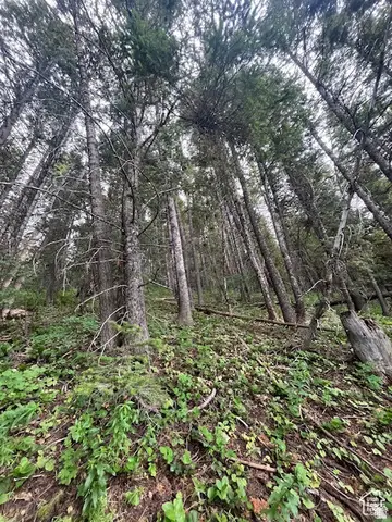 415 E Matterhorn Dr. S #138, Park City, UT 84098 - Image #2