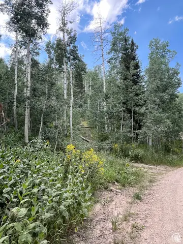 2102 S Uintah View Dr #61, Coalville, UT 84017