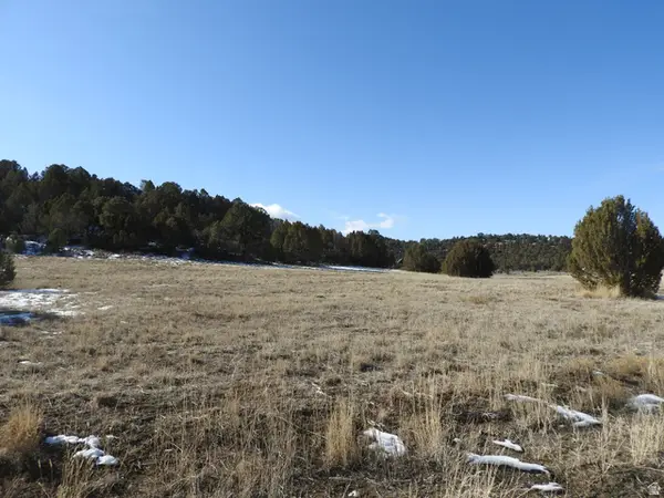 34465 N 9755 E, Fairview, UT 84629