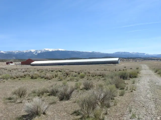 13000 N 25640 E, Mount Pleasant Moroni, UT 84623 - #2