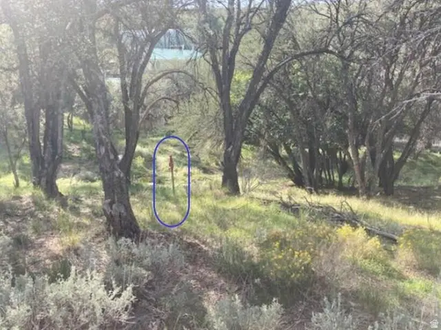 200 W 325 S, Pine Valley, UT 84781 - #2