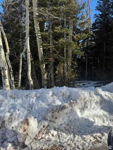 336 W Fir St #3, Brian Head, UT 84719 - #3