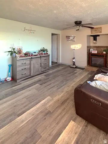 295 S 700 E, Mount Pleasant, UT 84647 - #2