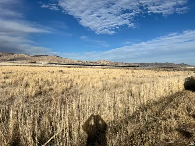 1065 N Goshen Canyon Rd W #2, Mona, UT 84645 - Image #3