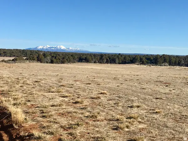 259 N Old Hwy, Monticello, UT 84535