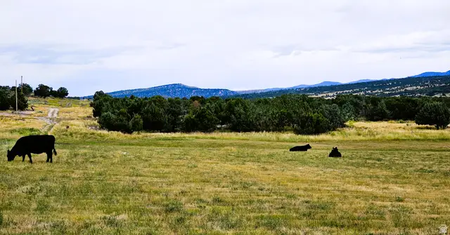 7 Juniper #7, Fairview, UT 84629 - #1