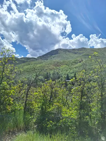 4810 E Badger Hollow Ln, Salt Lake City, UT 84108