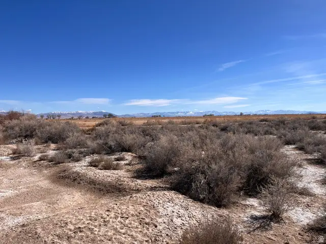 Address Withheld By Seller, Abraham, UT 84635 - #3