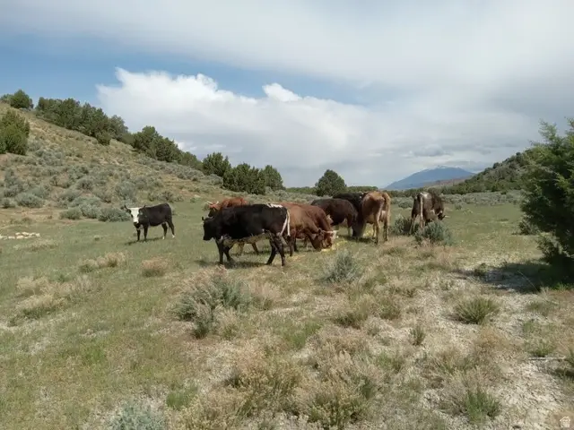 0 County Road 28, Levan, UT 84639 - #2