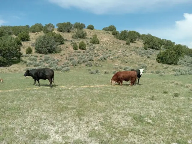 0 County Road 28, Levan, UT 84639 - #3