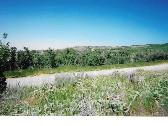 7480 W Step Mountain Rd S #111B, Herriman, UT 84096 - #2