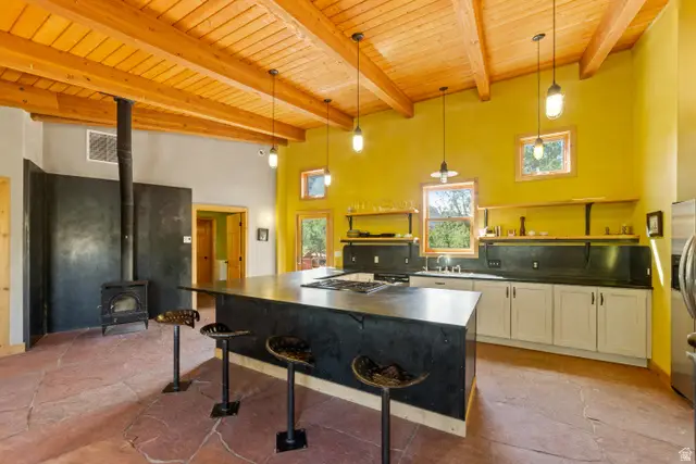 338 Taylor Ln, Castle Valley, UT 84532 - #3