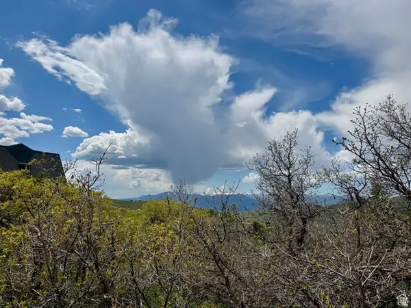 9395 E Ridge Pine Rd #807, Heber City, UT 84032