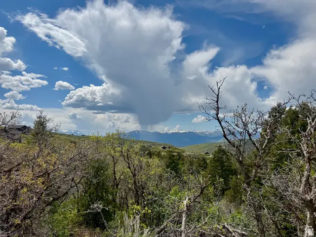 9395 E Ridge Pine Rd #807, Heber City, UT 84032 - #2