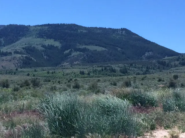 2 Summit Cir #1, Fish Haven, ID 83287 - #3