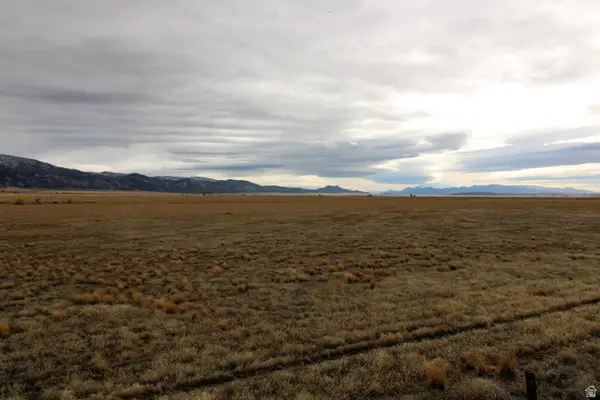 3110 W Crooked Ln, Levan, UT 84639