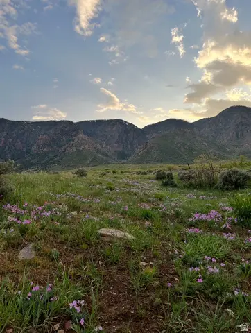 Parcel #5656, Scipio, UT 84656