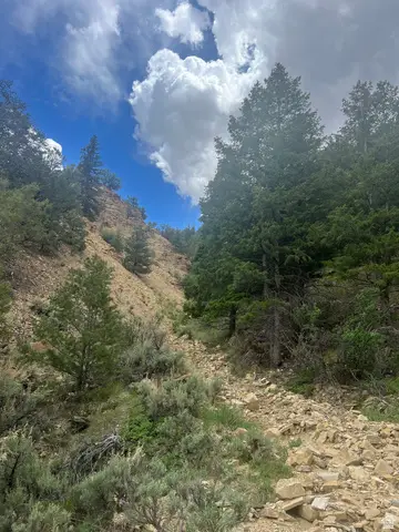 Address Withheld By Seller, Duchesne, UT 84021 - #3