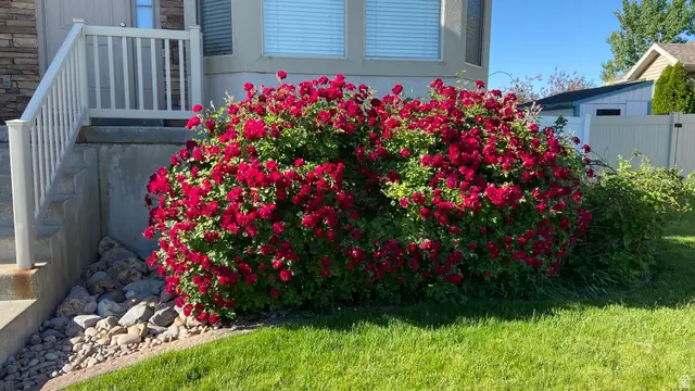 4641 W 5675 S, Hooper, UT 84315 - #3