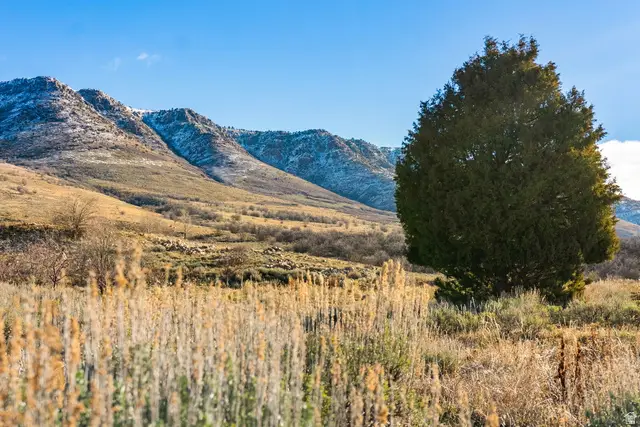 5630 E Highland View Ct, Eden, UT 84310 - #2