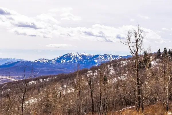 10516 Basin Canyon Rd, Park City, UT 84098