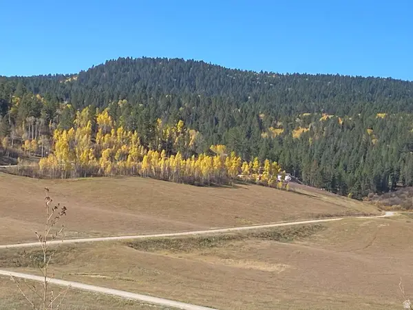 14 Elk Watch Ln #14, Wayan, ID 83285