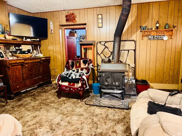 393 W Center St, Springville, UT 84663 - #2