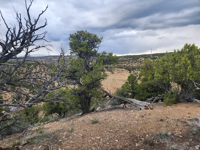 33480 W 7500 S #38, Duchesne, UT 84021 - #2