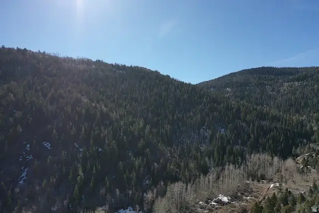Address Withheld By Seller, Summit, UT 84772 - #2