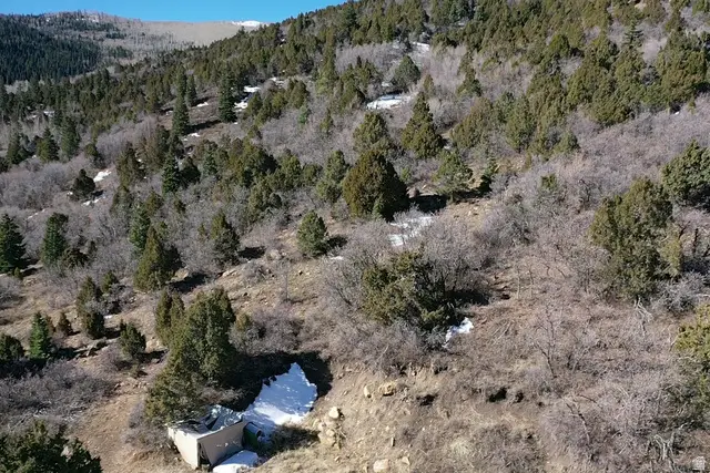 Address Withheld By Seller, Summit, UT 84772 - #3