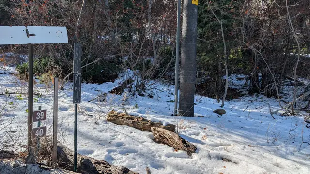 219 Upper Oak Cir #40, Huntsville, UT 84317 - #2