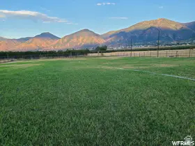 900 S Goosenest Dr, Payson, UT 84651