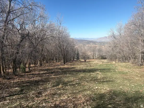 1040 S Pineview Dr #9, Woodland Hills, UT 84653