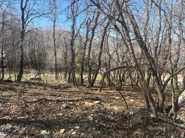 1040 S Pineview Dr #9, Woodland Hills, UT 84653 - #3