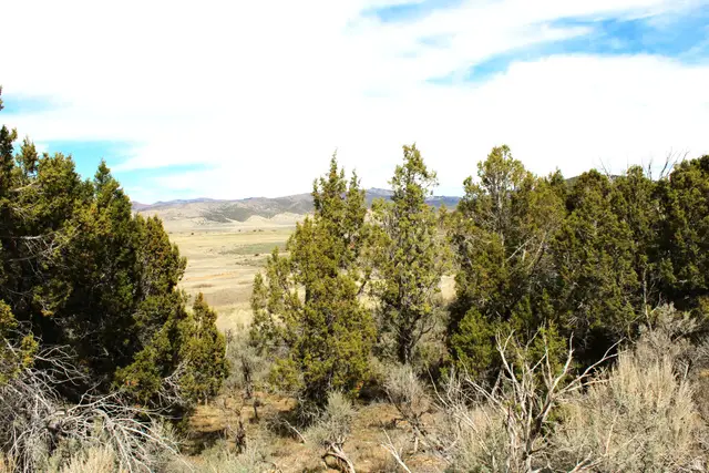 N W #93, Indianola, UT 84629 - #3