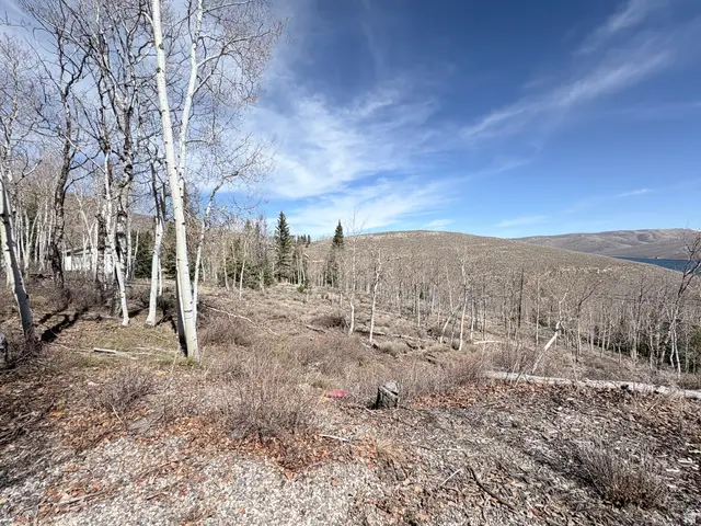 10 Lakeview Dr N #10, Scofield, UT 84526 - #2