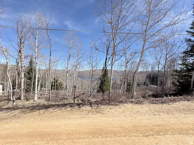 10 Lakeview Dr N #10, Scofield, UT 84526 - #3