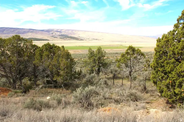 #104, Indianola, UT 84629 - #2